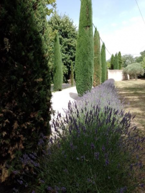 Magnifique propriété au cœur de la Provence, le Mas des Anges